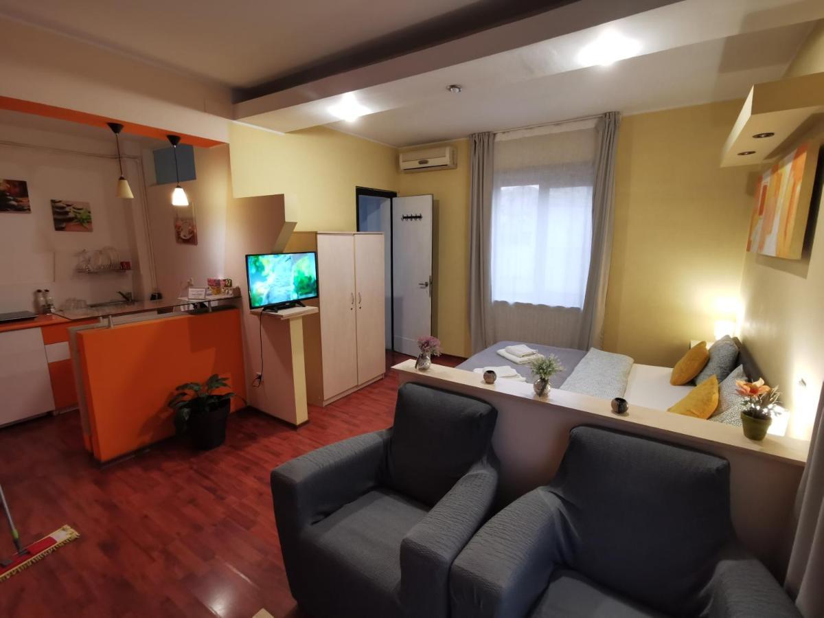 Appartement Ultracentral